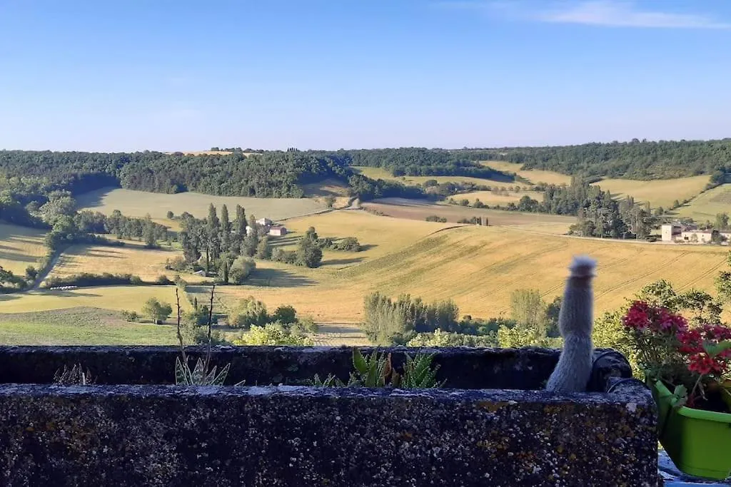 Superbe Maison De Maitre Avec Terrasse Et Jardin Castelnau-de-Montmiral