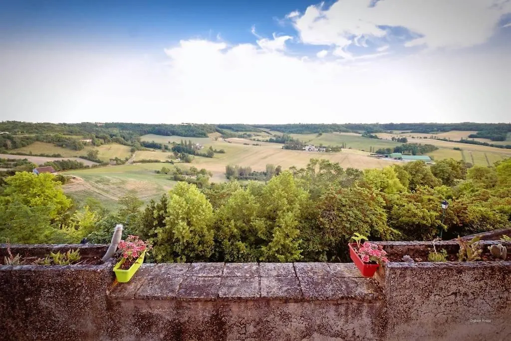 Holiday home Superbe Maison De Maitre Avec Terrasse Et Jardin Castelnau-de-Montmiral France