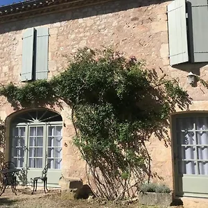 Domaine De La Durantie Duplex Vieux Chateau Castelnau-de-Montmiral